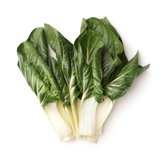 Fresh chard leaves against a white background Fresh chard leaves against a white background chard stock pictures, royalty-free photos & images