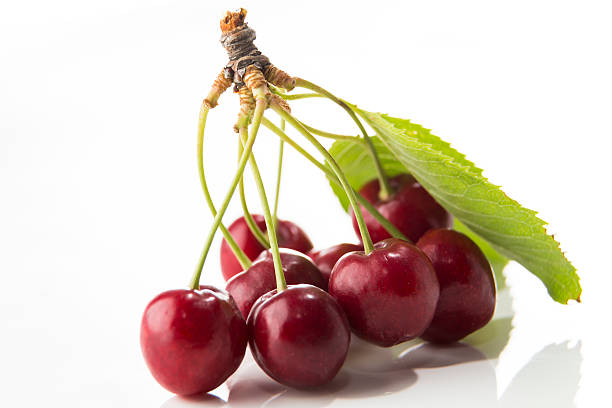 Fresh Cherry Closeup on Bright Background stock photo