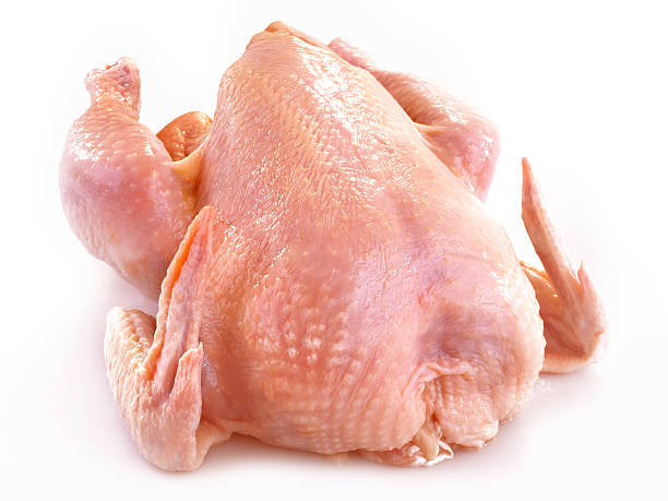 fresh chicken stock photo