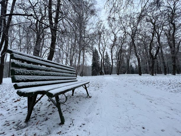 Fresh city snow in city park, bench in the park. stock photo