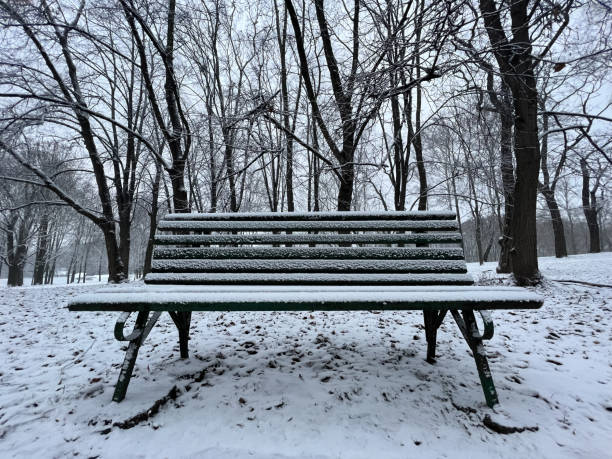 Fresh city snow in city park, bench in the park. stock photo