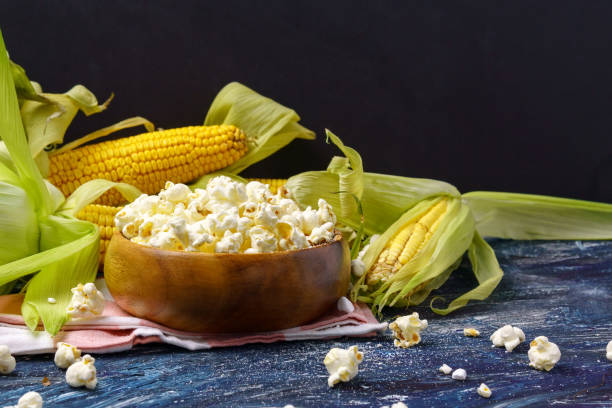 Fresh corn and popcorn on cobs on black background. stock photo