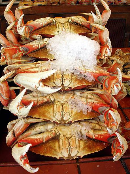 Fresh Crab stock photo