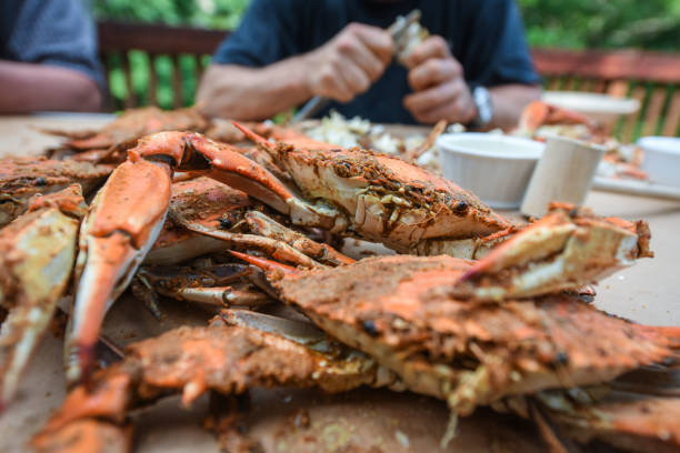 Fresh Crabs from Maryland - peeling stock photo