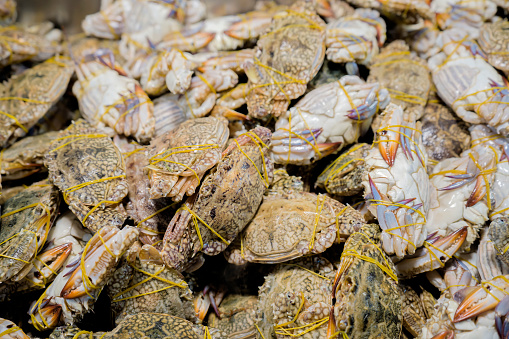 Fresh Crabs In Seafood Market Stock Photo - Download Image Now - iStock