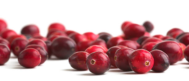 Fresh Cranberries stock photo