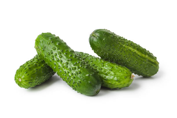 Fresh cucumbers stock photo