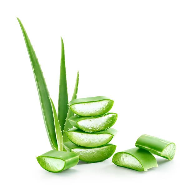 Fresh dissected aloe vera stacks isolated on white background Fresh dissected aloe vera stacks isolated on white background aloe stock pictures, royalty-free photos & images