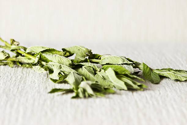 Fresh dry mint leaves on textured linen background. Selective focus