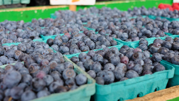 Fresh Farmers Market Blueberries stock photo