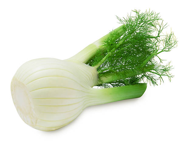 Fresh fennel Fresh fennel isolated on a white background fennel stock pictures, royalty-free photos & images