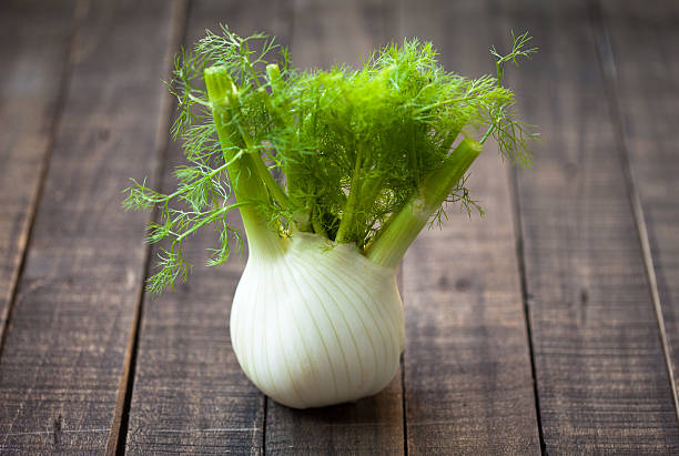 fresh fennel Fresh organic fennel is full of fibers and vitamins fennel stock pictures, royalty-free photos & images