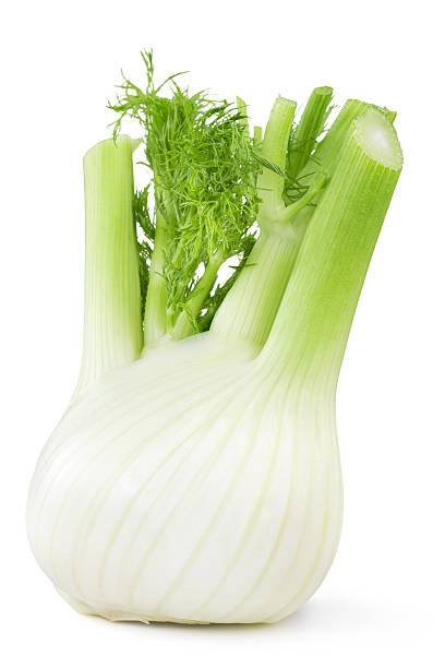 fresh fennel close up of fresh fennel isolated on white background fennel stock pictures, royalty-free photos & images