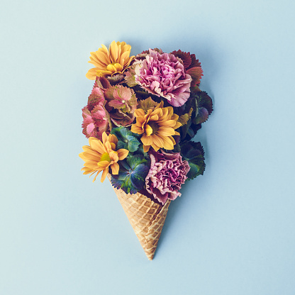 Contemporary photo of fresh flowers in ice cream cone still life