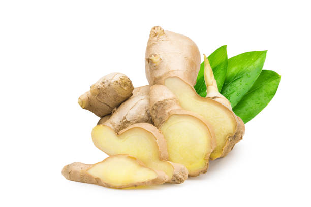 Fresh ginger (Zingiber officinale) with the leaf on white background. Commercial image of medicinal plant isolated with clipping path.  ginger spice stock pictures, royalty-free photos & images
