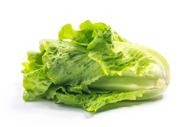 fresh green lettuce leaves isolated on white stock photo