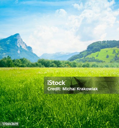 istock Fresh green meadow in mountains 170643619