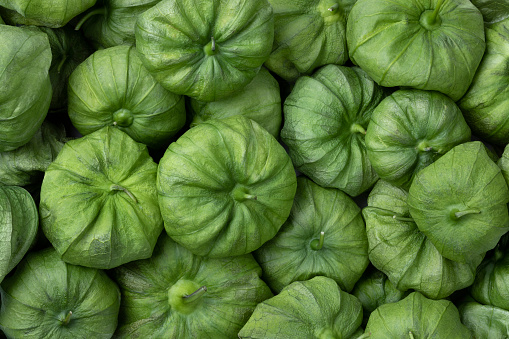 Fresh green tomatillo in a husk close up full frame as background