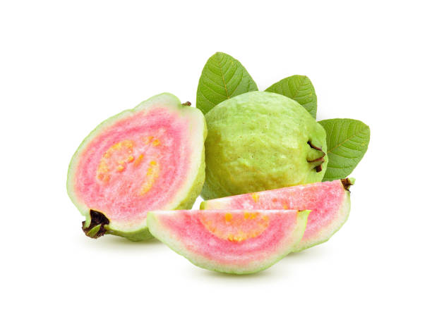 Fresh guava fruit on white background stock photo