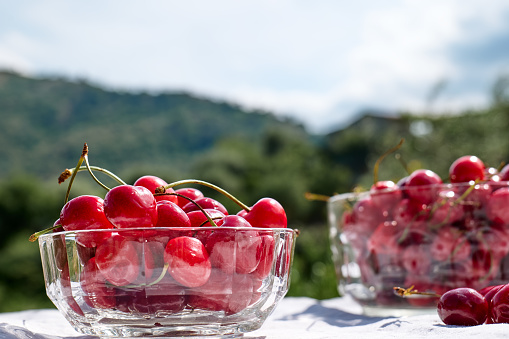 Fresh healthy ripe cherries in glass bowl on table in the garden. Summer sweet seasonal organic fruits. Selective focus.