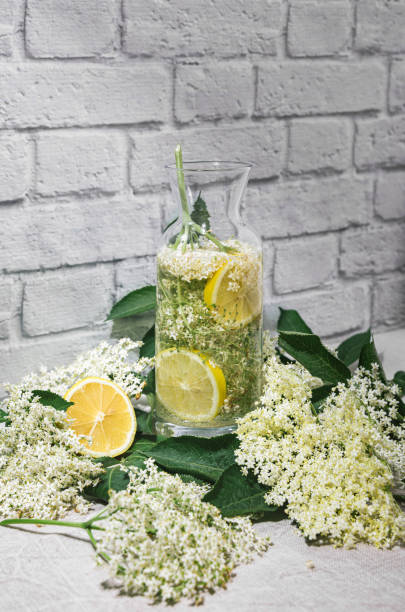 Fresh homemade elderflower juice in a jug with soaked blossoms and lemon in a rustic ambient. stock photo