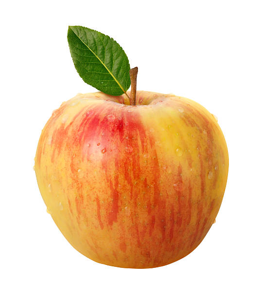 Fresh Honeycrisp Apple and Leaf with clipping path. stock photo