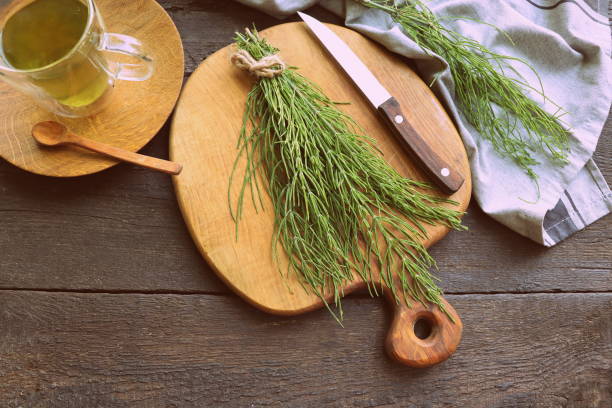 Fresh horsetail plant on a table with herbal tea on the wooden background stock photo