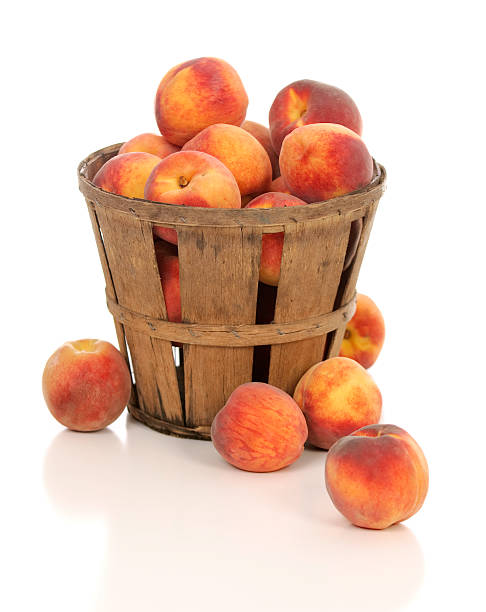 Fresh Juicy Peaches in a Rustic Farm Basket stock photo
