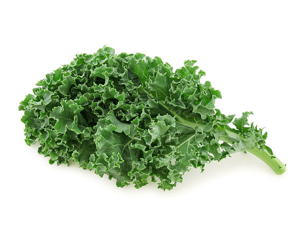 Fresh Kale stock photo