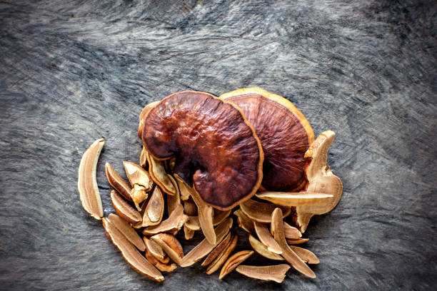 Fresh Lingzhi mushroom on dark wooden floor. Fresh Lingzhi mushroom on dark wooden floor. (Ganoderma Lucidum). Chinese traditional medicine and nutritive value. lingzhi stock pictures, royalty-free photos & images