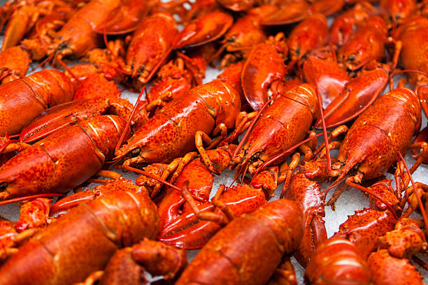 Fresh Lobster stock photo