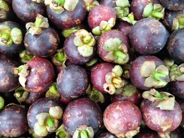 Fresh mangosteen fruit is traded in supermarkets stock photo