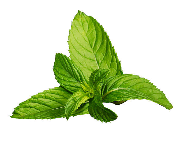 Fresh mint leaves isolated on a white background Fresh mint leaves isolated on a white background garnish stock pictures, royalty-free photos & images