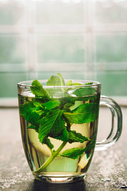 Fresh mint tea Fresh mint tea near the window. Cozy home or health concept bengali sweets stock pictures, royalty-free photos & images