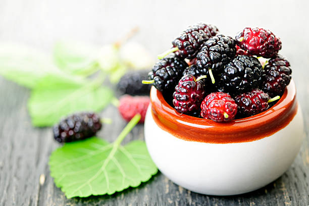 Fresh mulberries stock photo