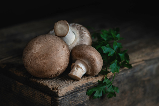 Fresh mushrooms on a dark rustic background