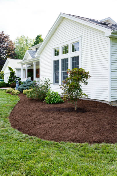 Fresh New Landscaping at Suburban Home stock photo