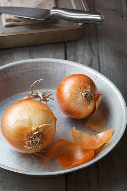 Fresh onion stock photo