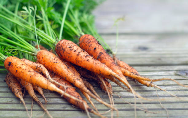 Fresh picked carrot on a wooden surface stock photo
