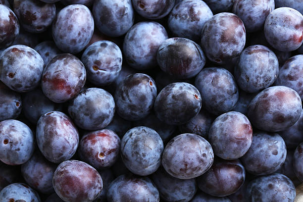 Fresh plums background stock photo