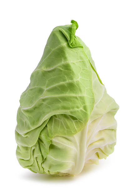 Fresh pointed cabbage Fresh pointed cabbage isolated on white background spiked stock pictures, royalty-free photos & images