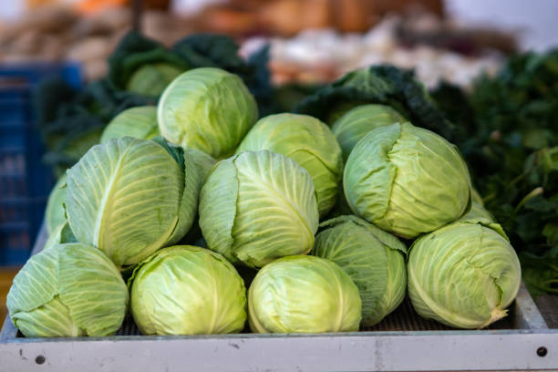 Fresh raw cabbage Green cabbage for sale at a farmer's market stall cabbage stock pictures, royalty-free photos & images