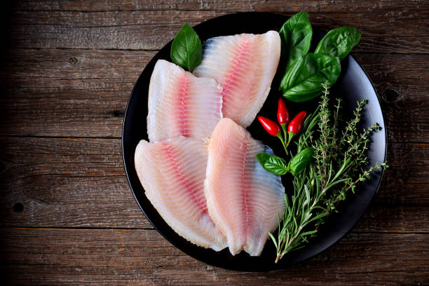 Fresh raw fillet of tilapia fish stock photo