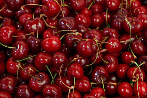 Fresh red cherries on retail market close up Heap of fresh red ripe sweet black cherry berries on retail market stall display, close up, high angle view cherry stock pictures, royalty-free photos & images