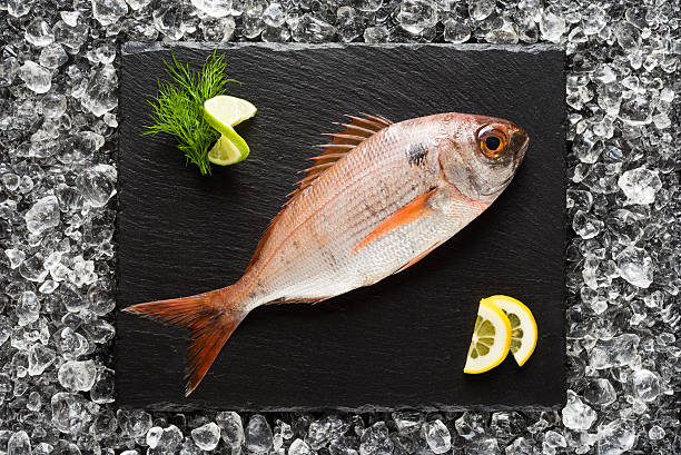 Fresh red snapper fish on a black stone plate stock photo
