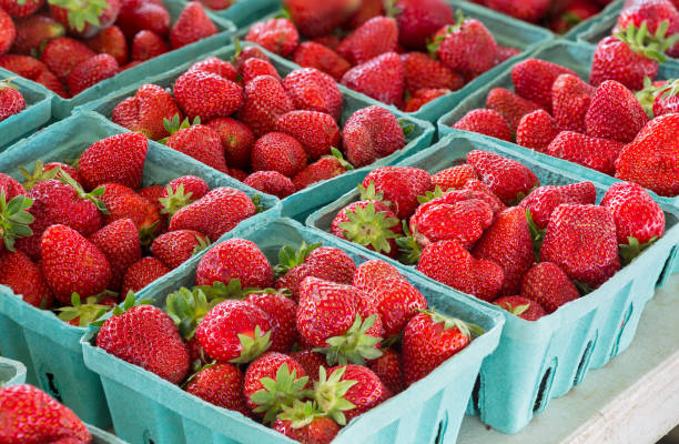 Fresh Ripe Strawberries at a Local Farmer's Market stock photo