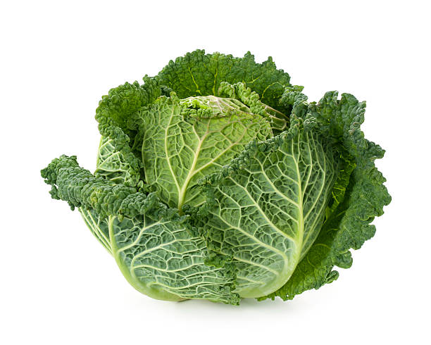 Fresh savoy cabbage stock photo