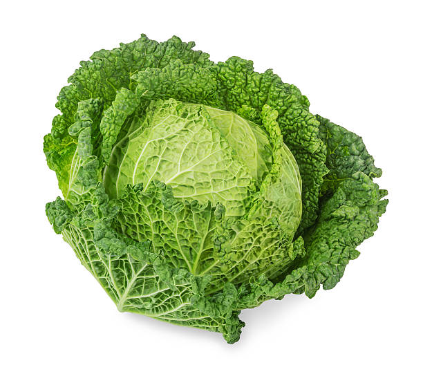 frische savoy cabbage - wirsing zubereiten stock-fotos und bilder