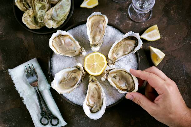 Fresh sea oysters on a large sea salt with lemon. Healthy food, gourmet food, restaurant food. stock photo