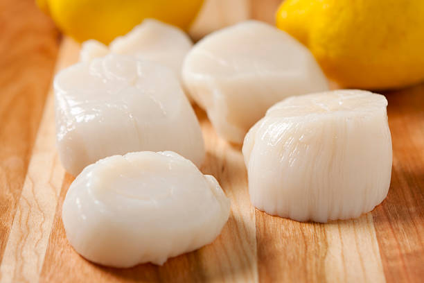 Fresh sea scallops with lemons in the background stock photo